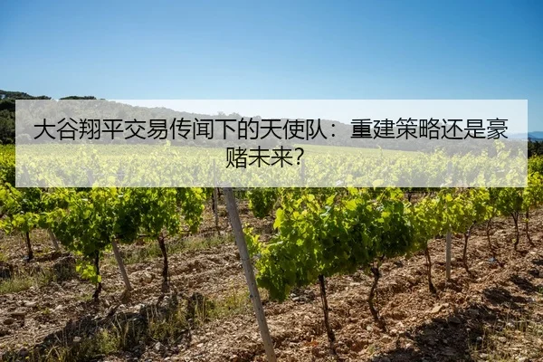 大谷翔平交易传闻下的天使队：重建策略还是豪赌未来？