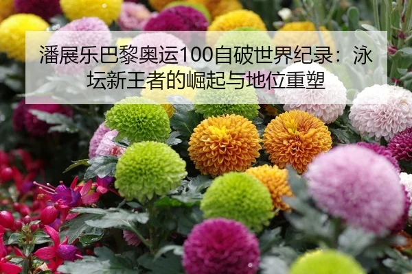 潘展乐巴黎奥运100自破世界纪录：泳坛新王者的崛起与地位重塑