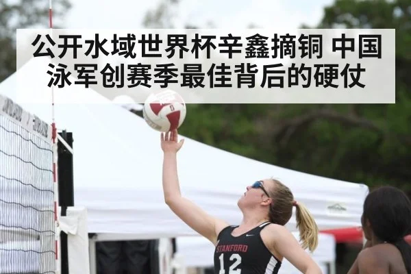 公开水域世界杯辛鑫摘铜 中国泳军创赛季最佳背后的硬仗